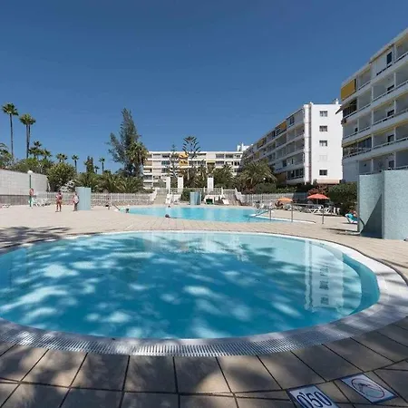 Aloe Precioso Close To Yumbo Beaches Dunas