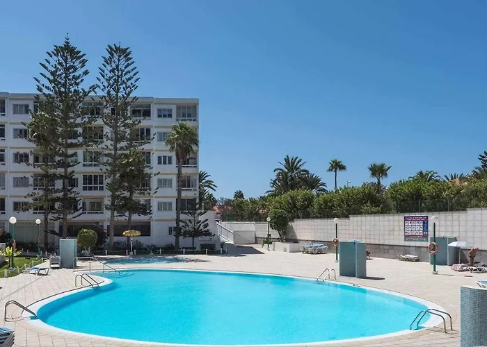 Aloe Precioso Close To Yumbo Beaches Dunas