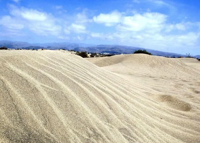 Aloe Precioso Close To Yumbo Beaches Dunas Daire Playa del Ingles (Gran Canaria)