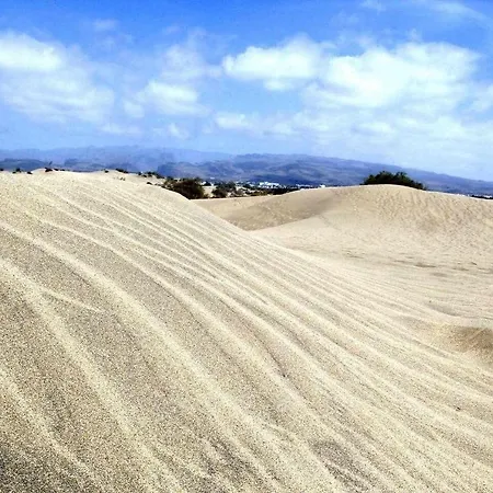 Aloe Precioso Close To Yumbo Beaches Dunas Appartement Playa del Inglés